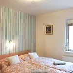 Apartment Boroka *
